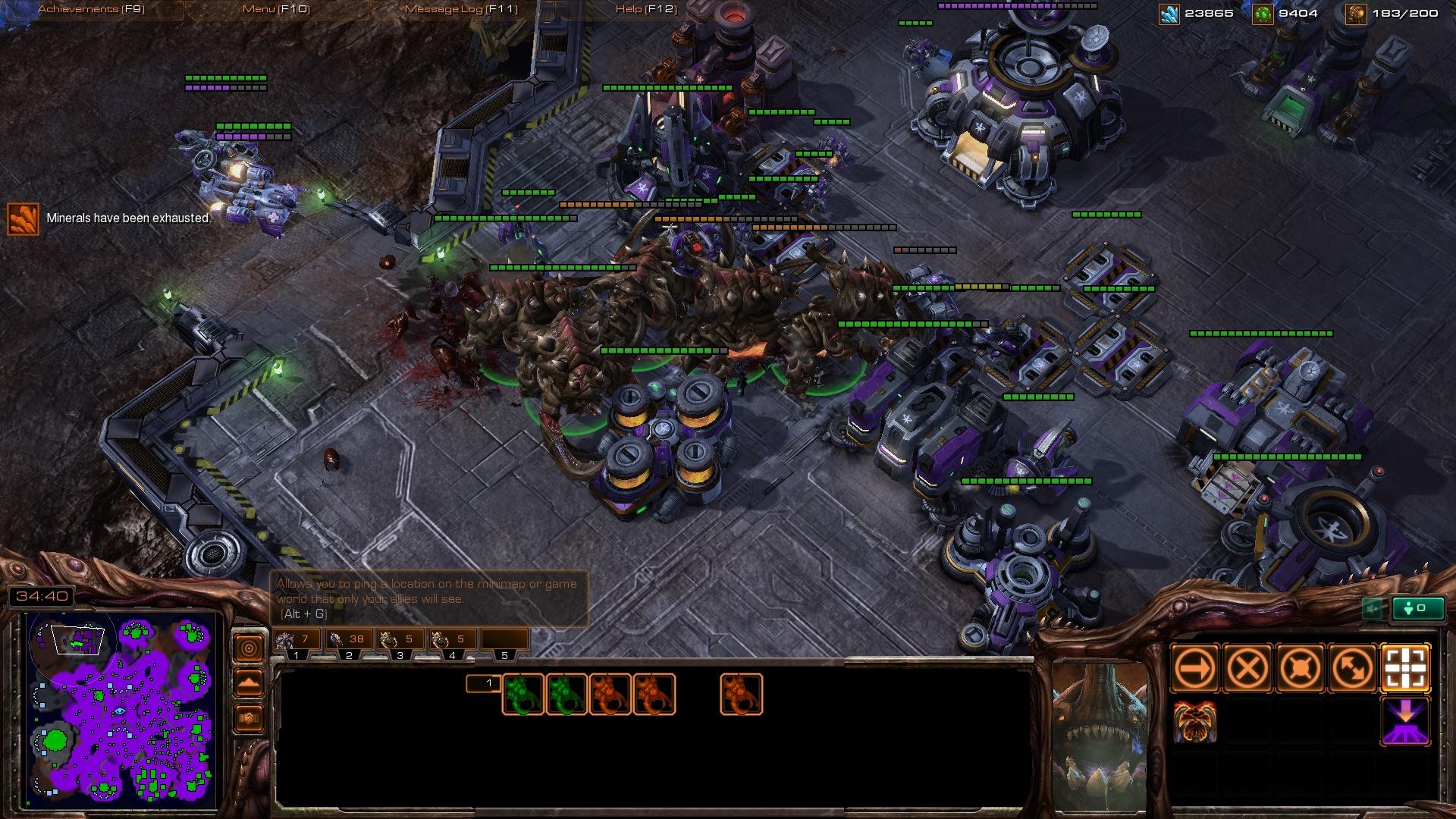 森林 完整版 截图21