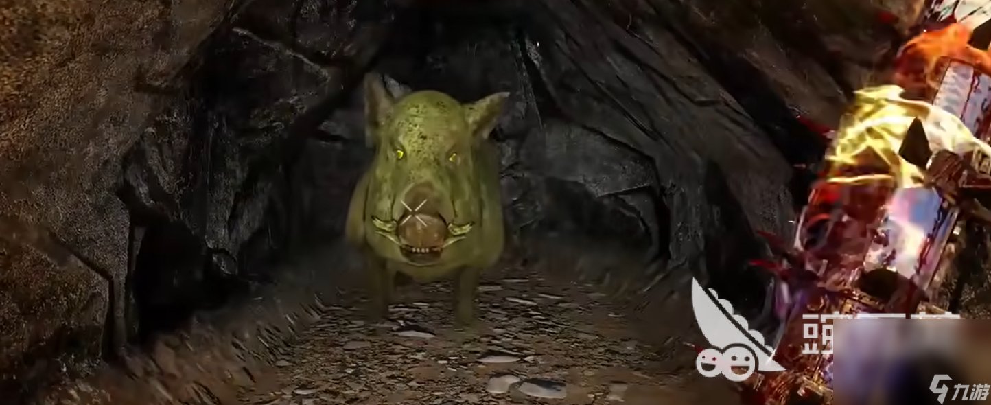 巫师3：狂猎 年度版 截图11