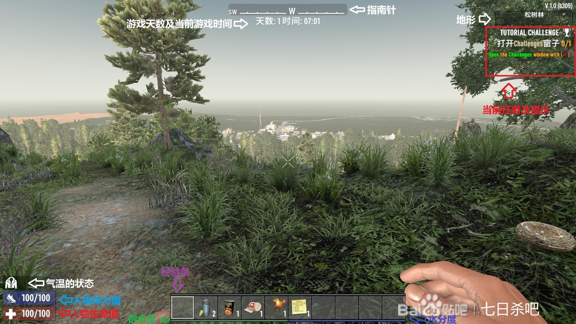 巫师3：狂猎 年度版 截图12